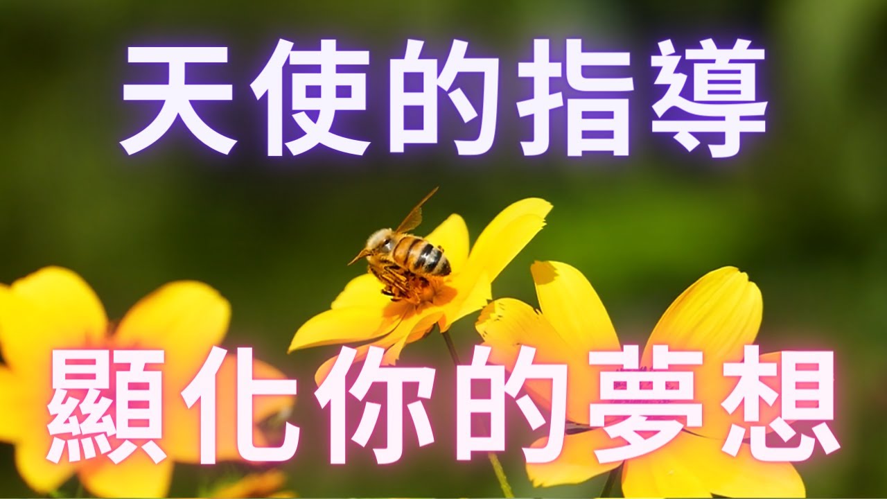 【天使的指導】《如何確信你夢想的現實會顯化》沒有夢想是太大無法實現的，宇宙會想辦法帶給你你所尋求的，你的夢想會在最驚人和喜悅的方式中顯化。