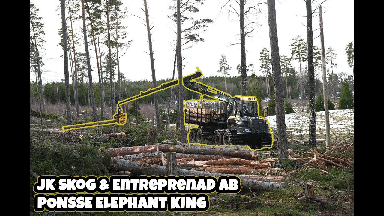 PONSSE ELEPHANT KING - JK SKOG & ENTREPRENAD AB LONG MOVIE