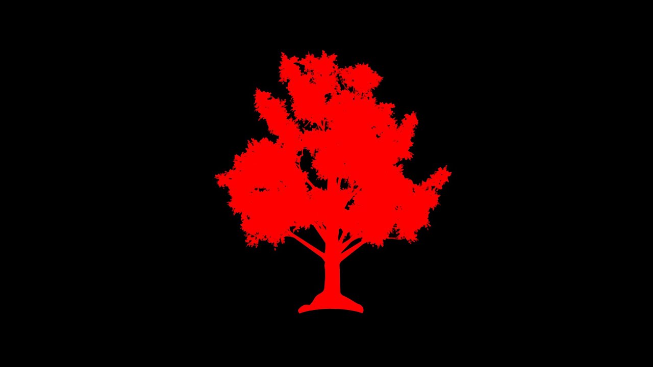 Bibić Branimir mix set