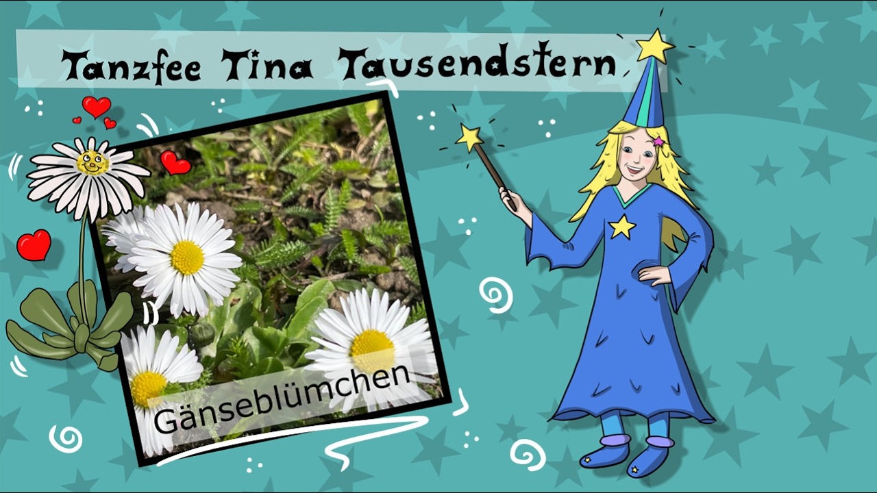 Das Gänseblümchen – Wissen für Kinder (2026) 🌼 | Warum diese kleine Blume so besonders ist