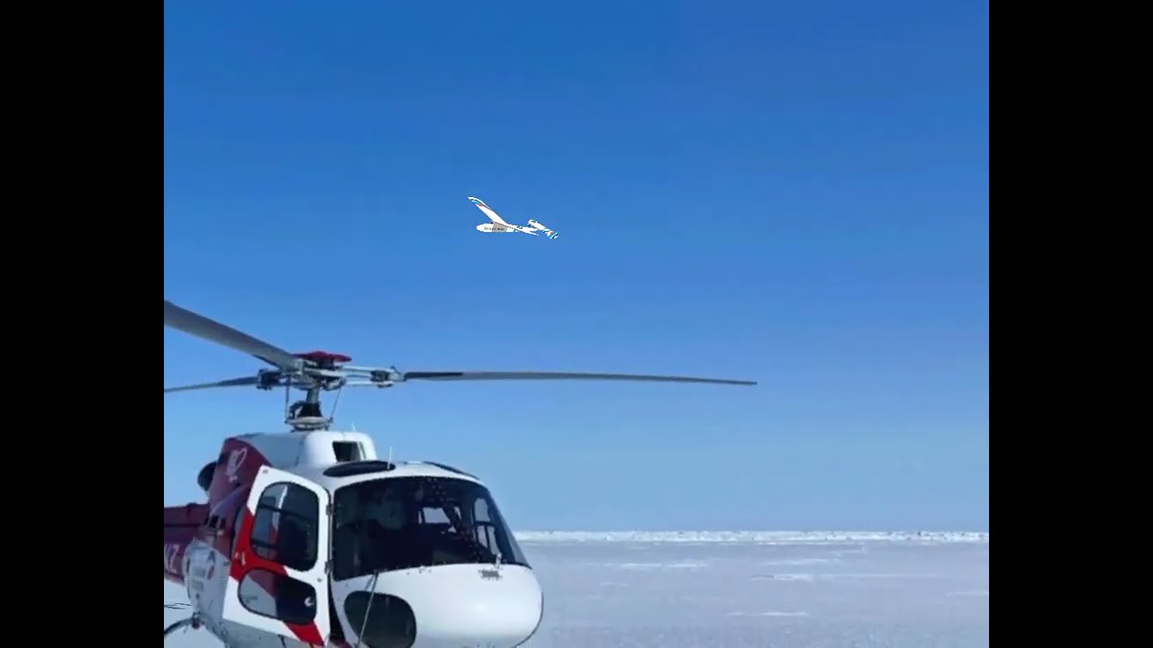 Arctic