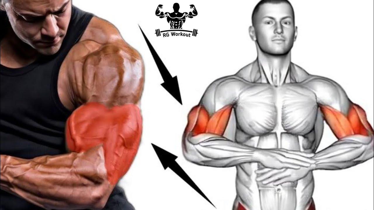 Top 6 Biceps Exercises for Muscle Growth