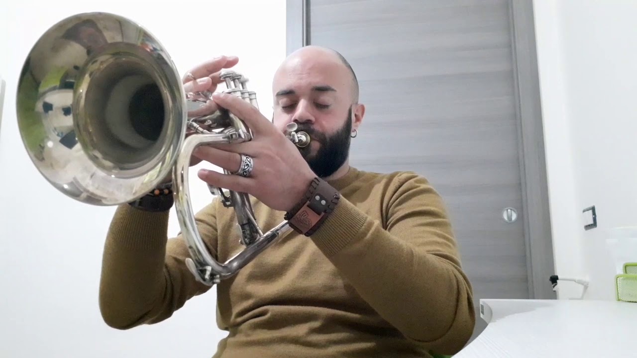 PLAYING LOVE - LA LEGGENDA DEL PIANISTA SULL'OCEANO - Ennio Morricone - Flugelhorn and Trumpet Cover