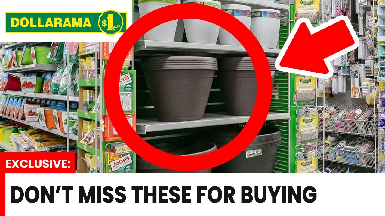 10 Things You SHOULD Be Buying at Dollarama in 2026