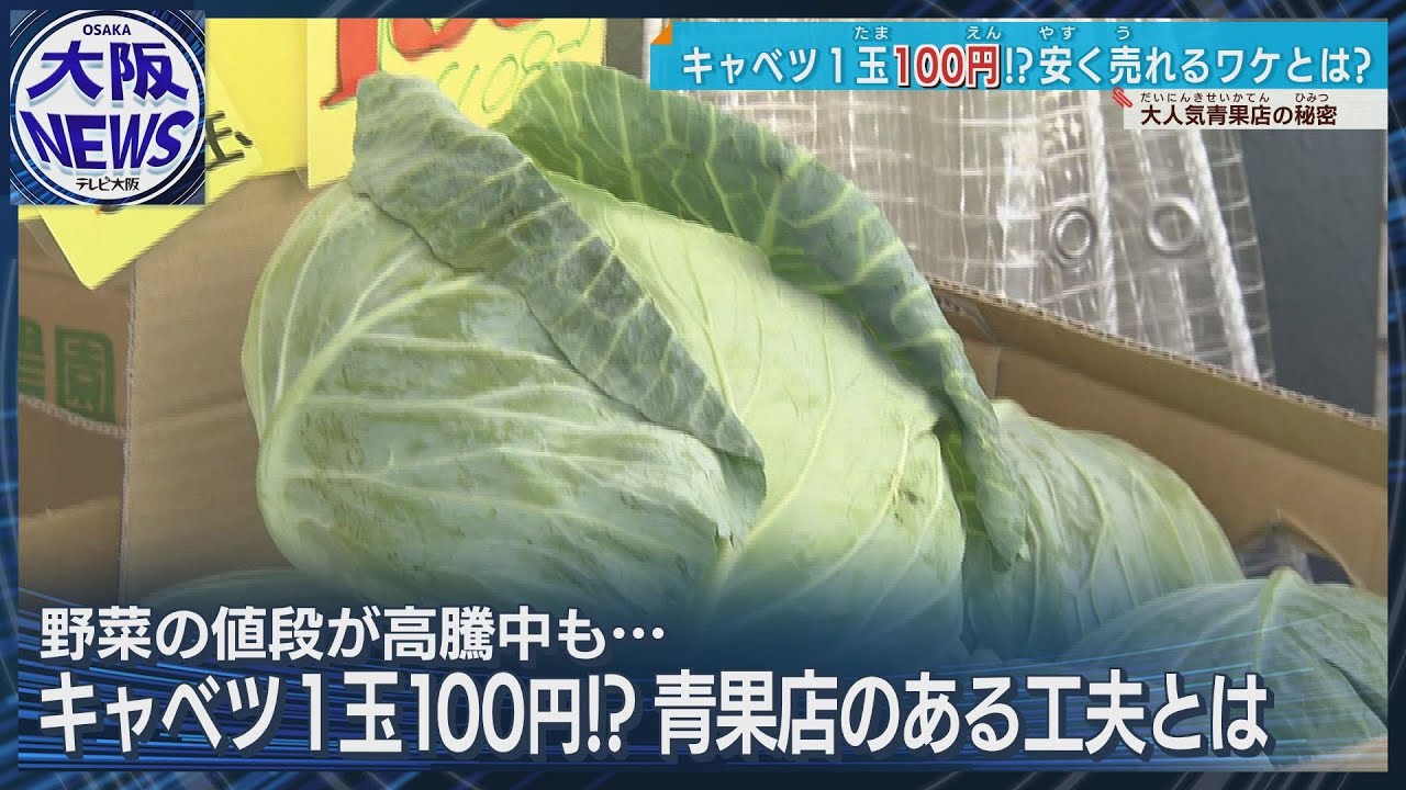 【キャベツ1玉100円！】激安は努力の結晶…大人気の野菜が安い青果店 午前4時から仕入れに同行…安さのワケは