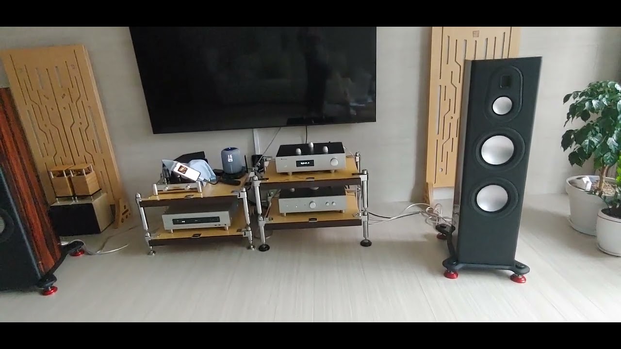 Tokban ts-10,ts-2+monitor audio