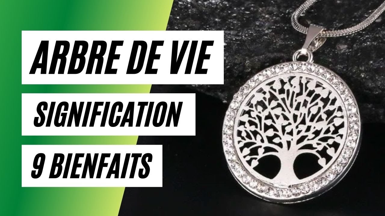 Arbre de Vie : Signification et 9 Bienfaits de ce Symbole Spirituel