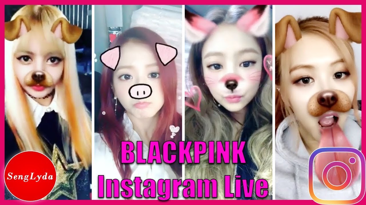 BLACKPINK Instagram Live Compilation