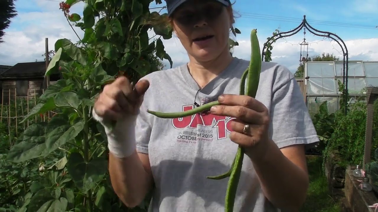 Mid July Update -Part 543 - Claire's Allotment