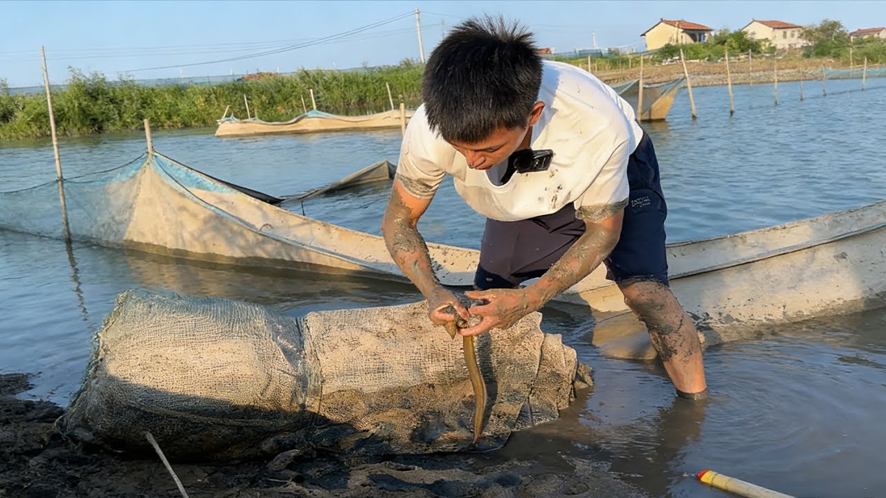 環境越是複雜越是有挑戰性！我是越抓越信心十足#大熱門
