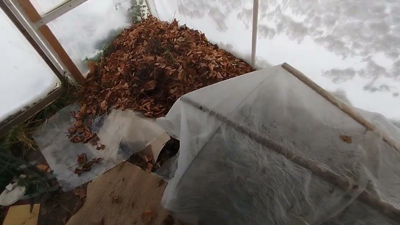 ROD Mikołów, 2025.11.23, taki śnieg