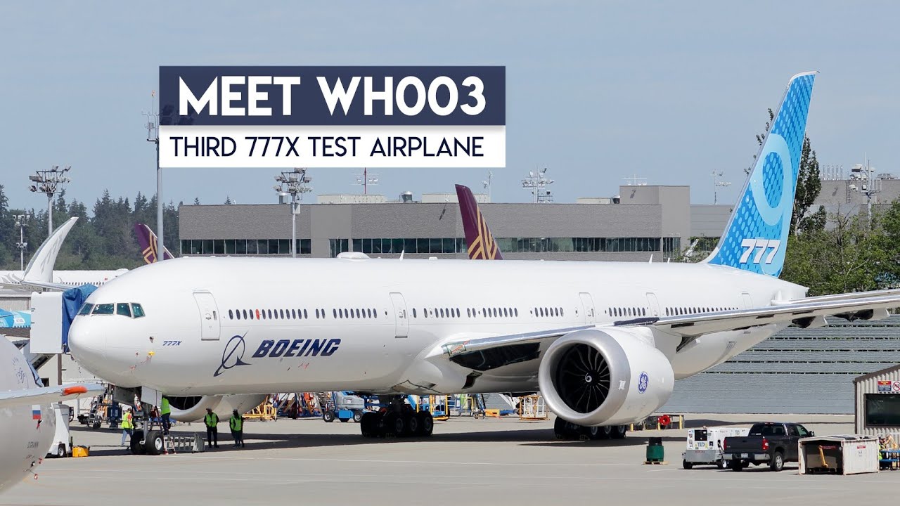Meet WH003!