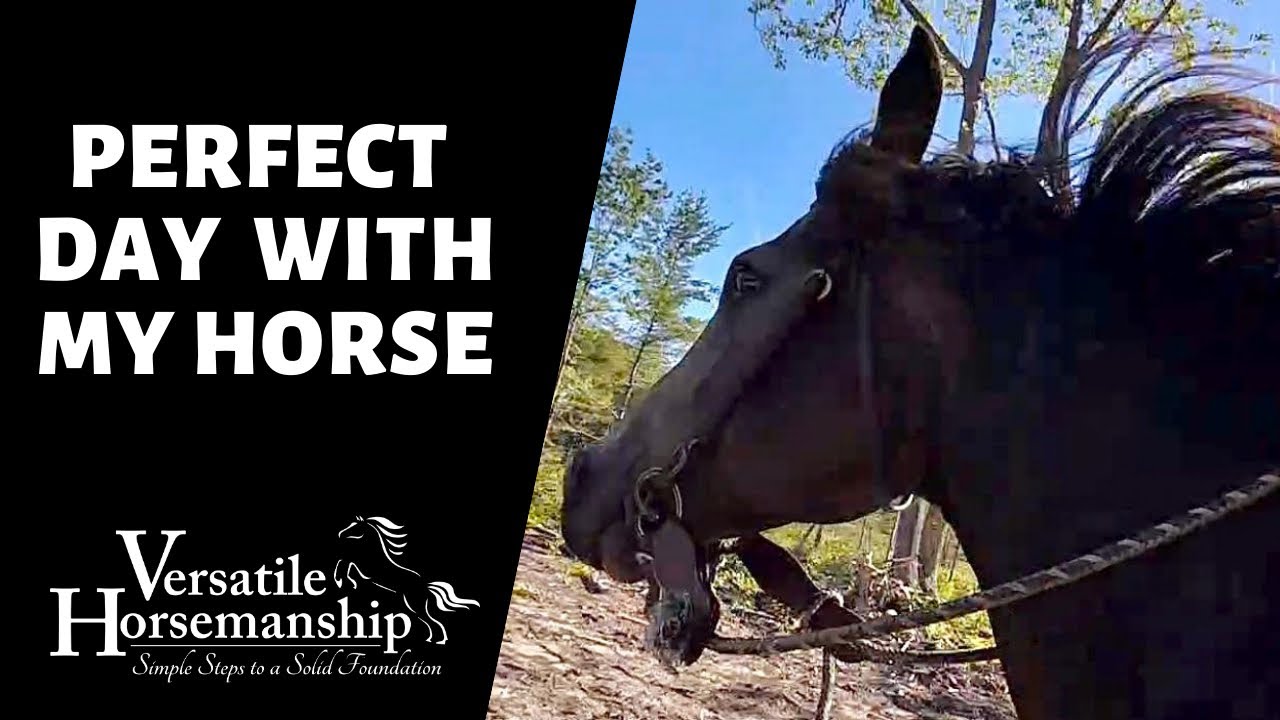 PERFECT DAY WITH MY HORSE // Versatile Horsemanship