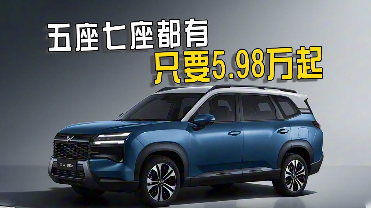 起售价不到6万，提供三种动力版本，五菱星光560能大卖吗