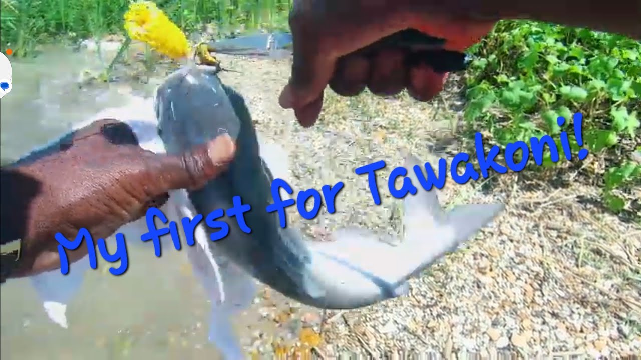 Fishing Lake Tawakoni 7/22/2023
