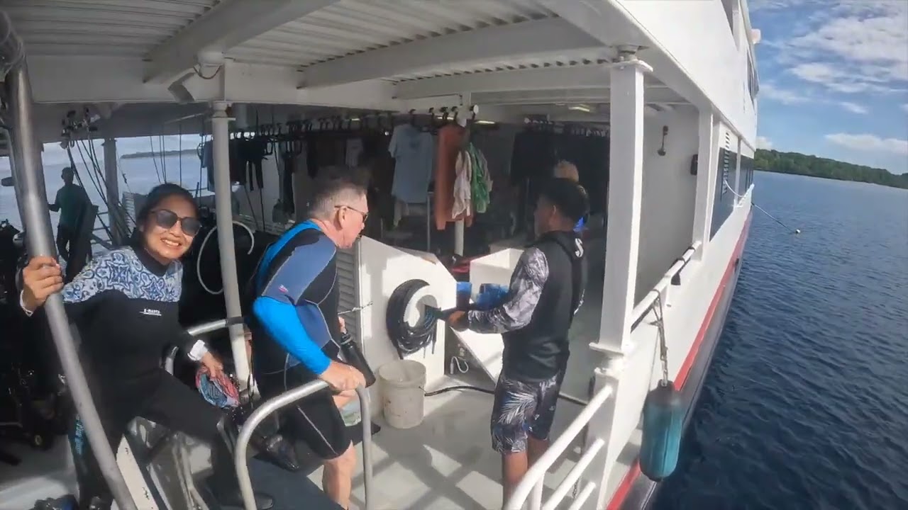 2024-12 Palau diving