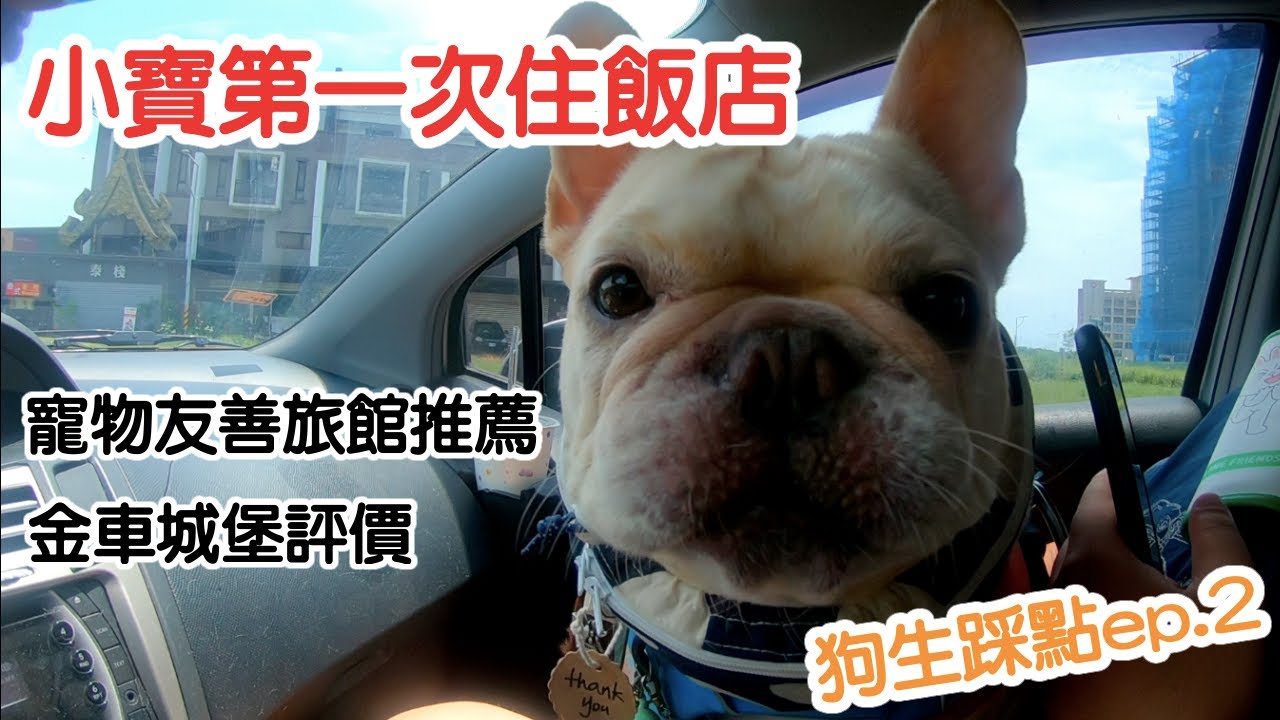 小寶狗生踩點｜ 宜蘭Vlog ep.2｜小寶第一次住飯店｜金車咖啡城堡點評｜寵物友善飯店推薦