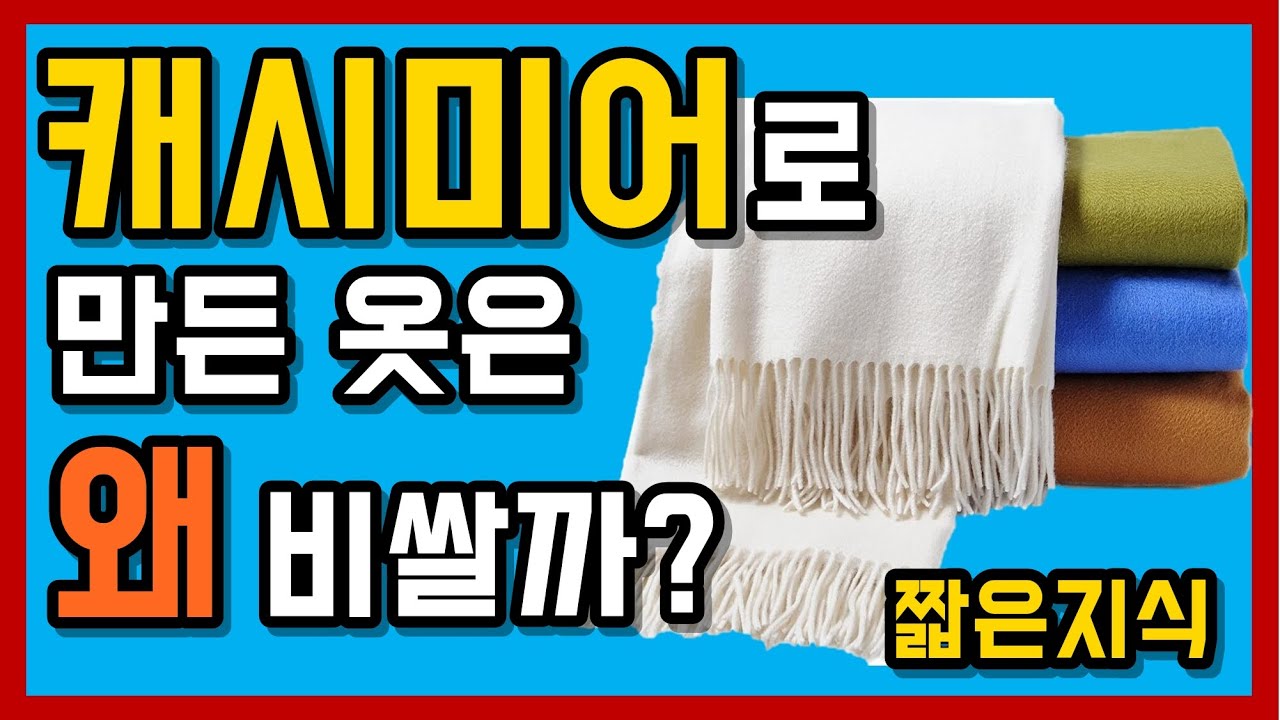 왜 캐시미어 소재의 옷들은 엄청나게 비쌀까?