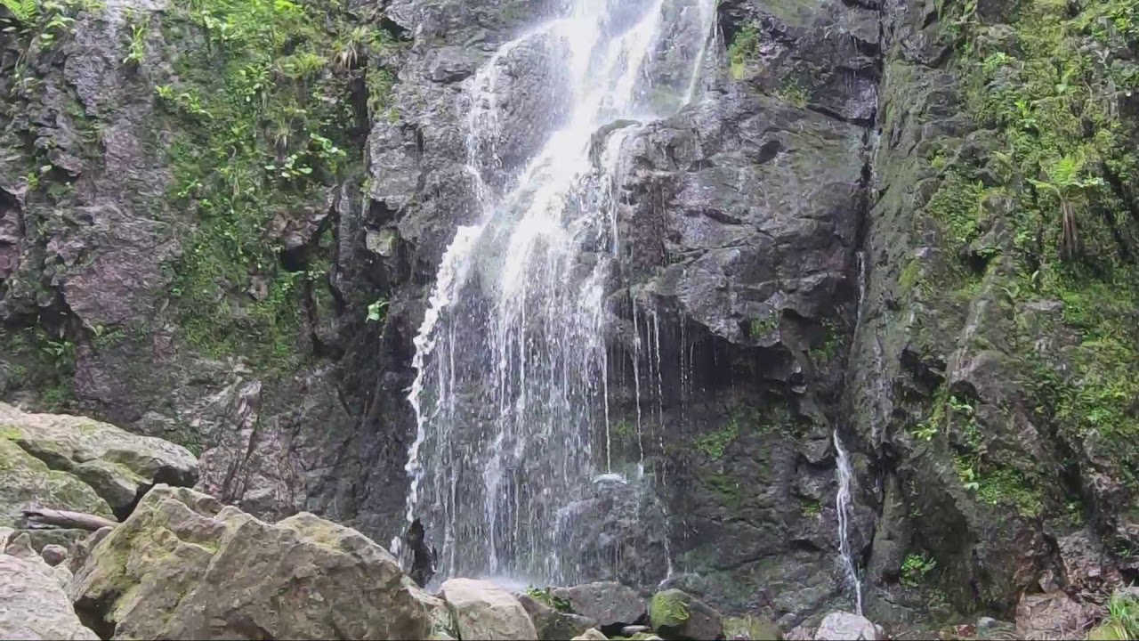 Burgbach Wasserfall Schwarzwald