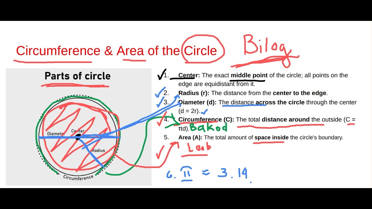 Circumference & Area of the Circle