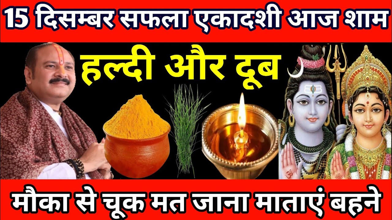 चमत्कार को नमस्कार 😱 15 दिसम्बर सफला एकादशी के दिन चुपचाप ले आना यह पौधे की जड़, इतना पैसा आयेगा. 