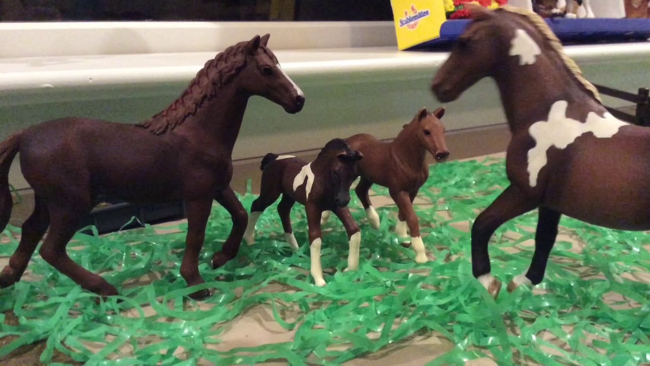 7 Years ~Schleich Music Video~