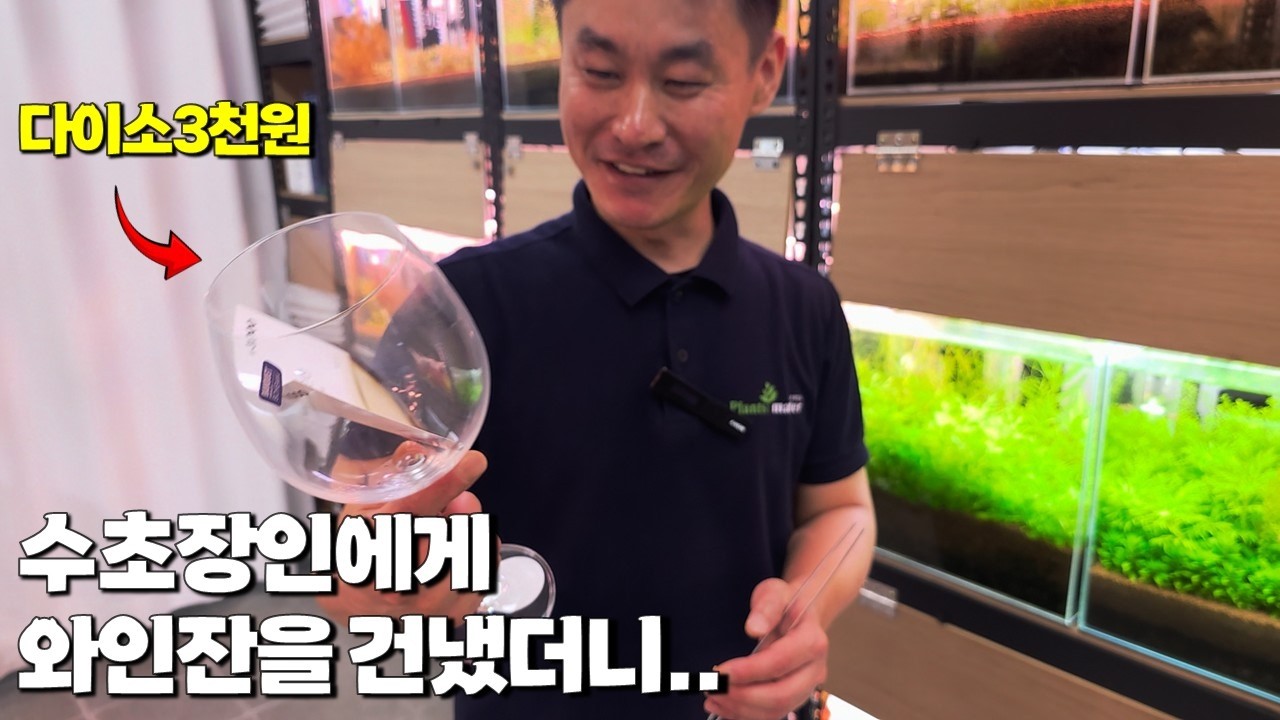 수초장인에게 와인잔에 수초어항을 만들어달라고 했더니