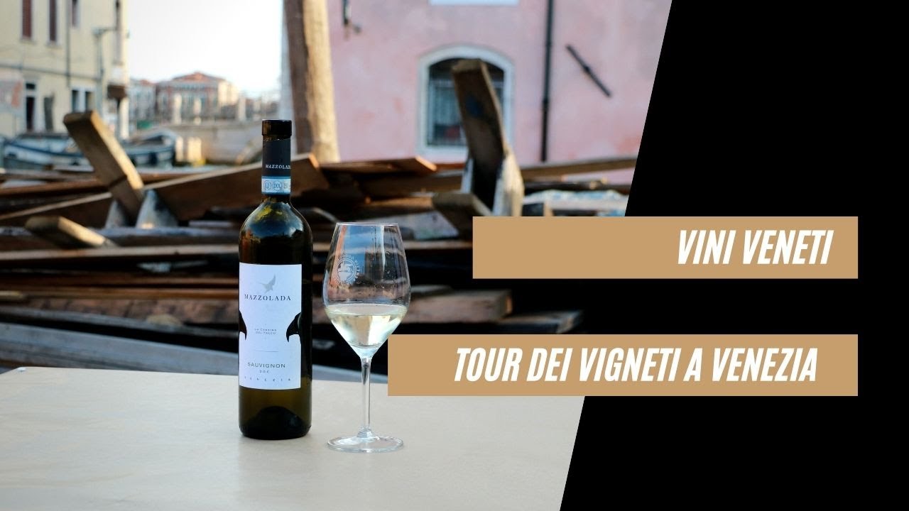 Vini veneti: tour dei vigneti con il Consorzio Vini Venezia