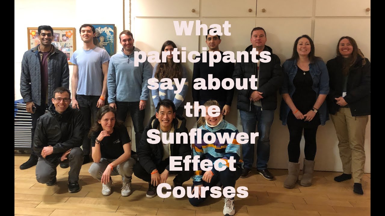 From Shy to Confident: The Sunflower Effect Journey (mobile version)