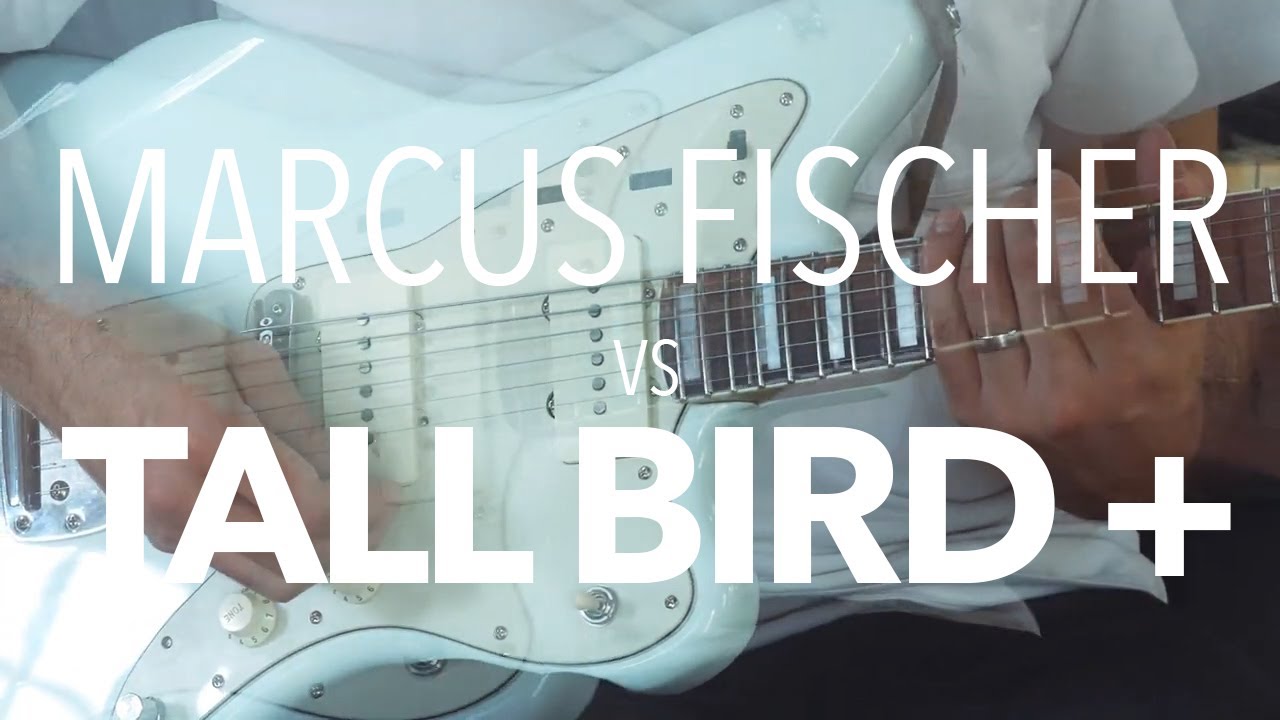 Marcus Fischer vs. Benson Tall Bird Plus (feat. Summer Mastous)