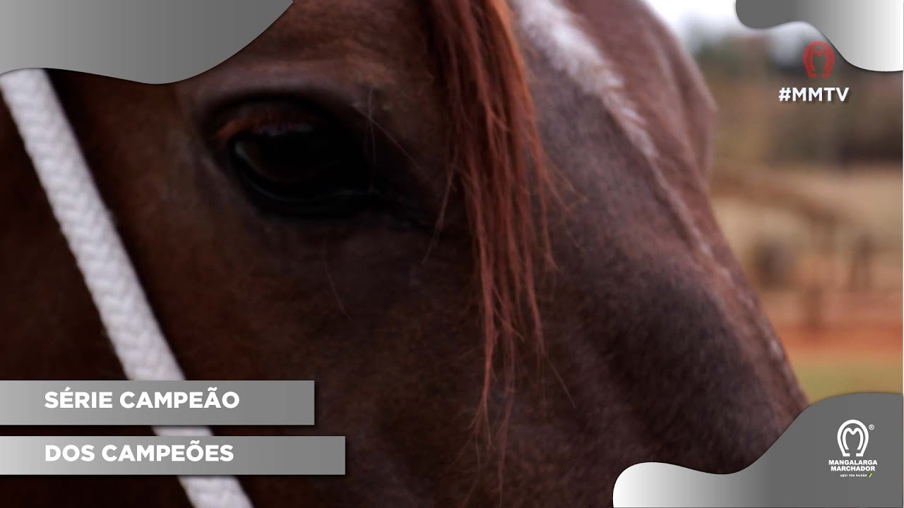 RIO RASO DE SÃO LOURENÇO  - A TRAJETÓRIA DE UM CAMPEÃO NACIONAL  EPISÓDIO 01