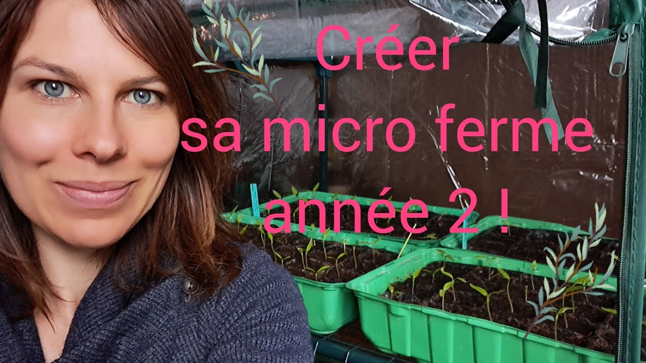 creer sa micro ferme en permaculture,  année 2 !