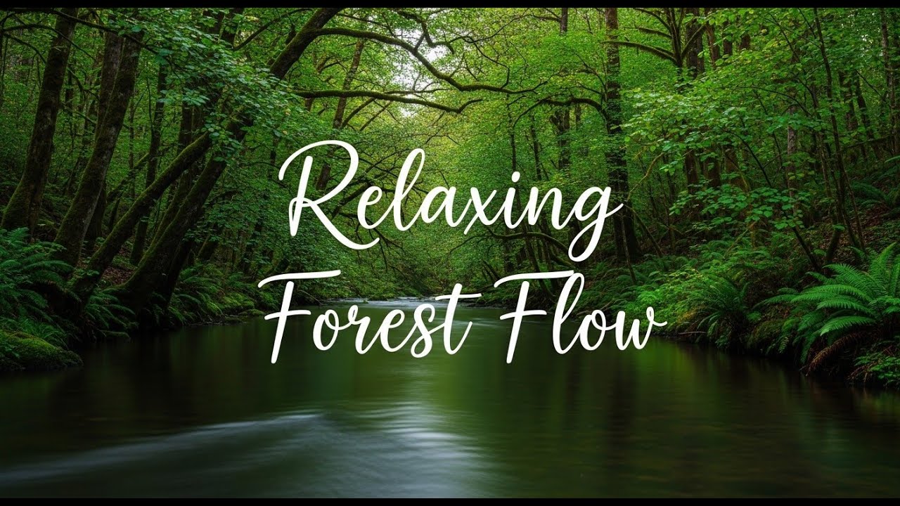 12 Hours River White Noise for Stress and Insomnia