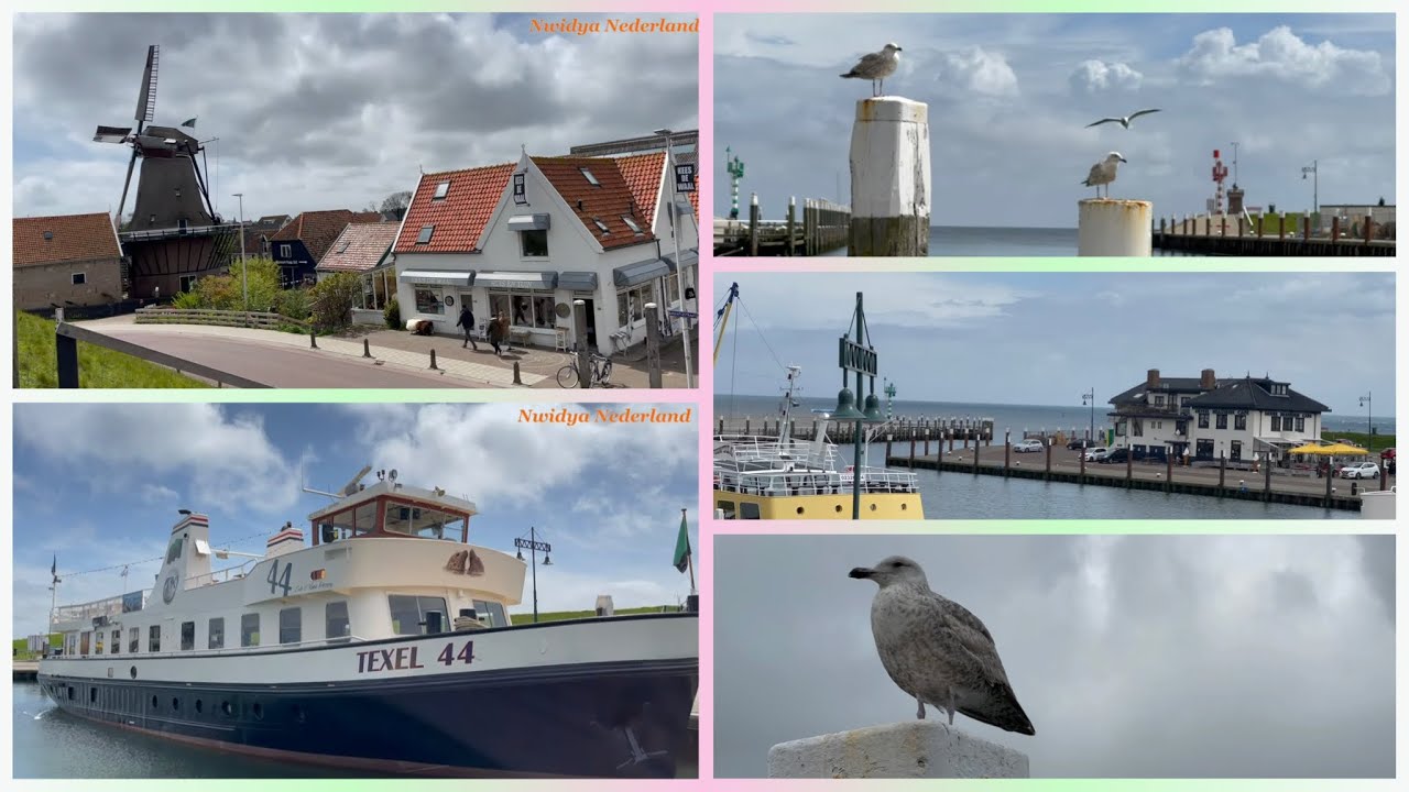 #Oudeschild#Texel# 🚢🏝😍Dorp InTexel جزء من زيارتي لجزيرة