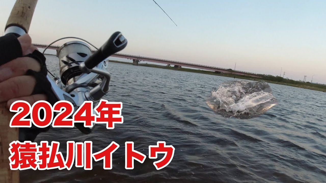 猿払川イトウ）３回も通えば、まともなイトウが釣れるのか？