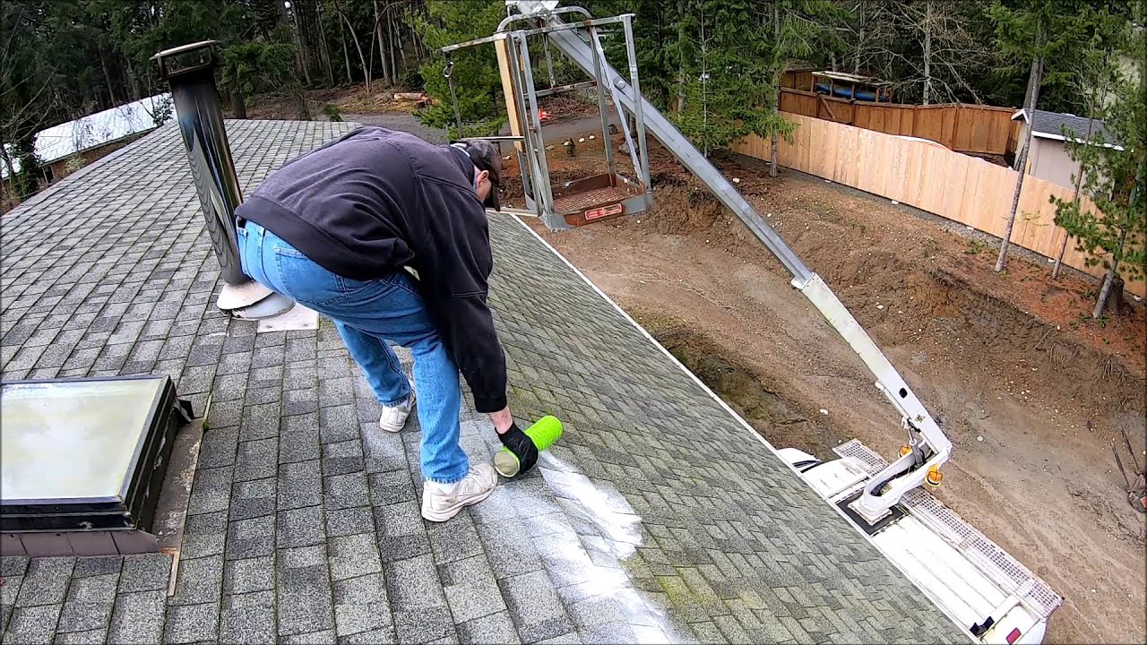 How To Remove Moss From Roof With Moss B Ware.  It's been a year, lets do it again!