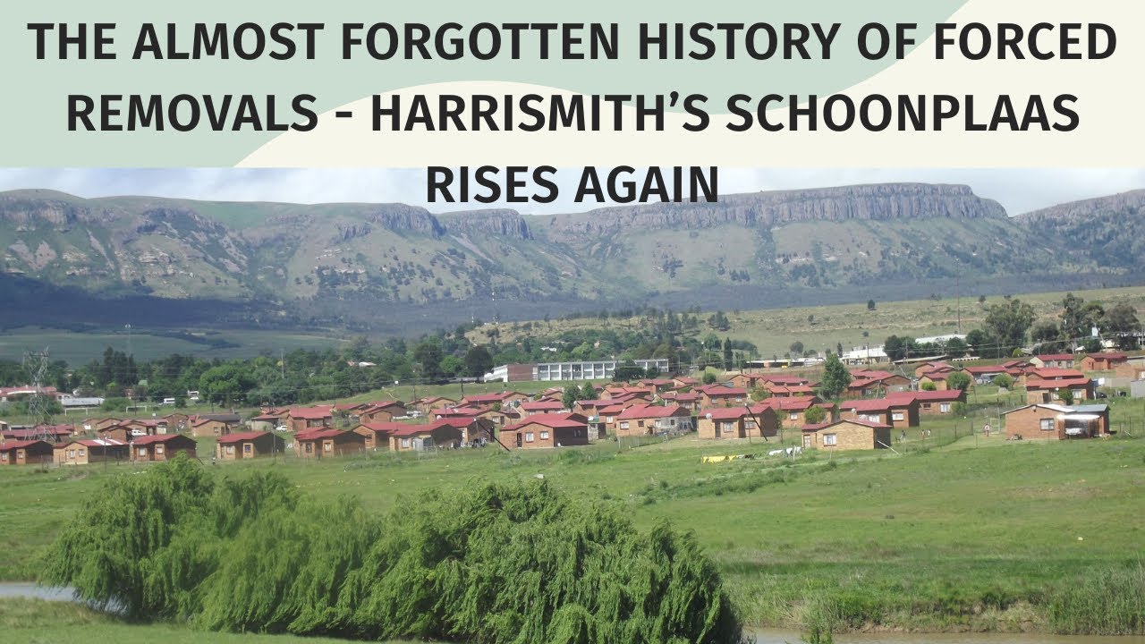 The almost forgotten forced removals -  Harrismith's Schoonplaas rises again