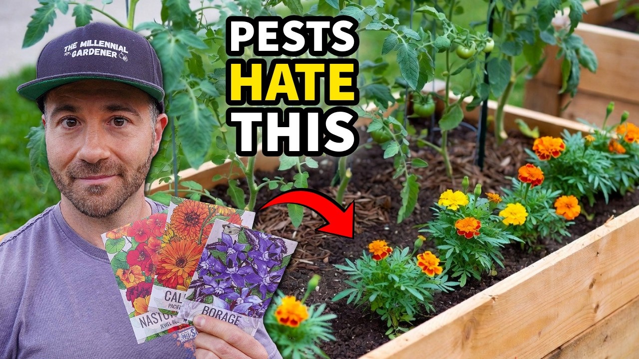 These Powerful Plants STOP Garden Pests Without Harsh Chemicals!
