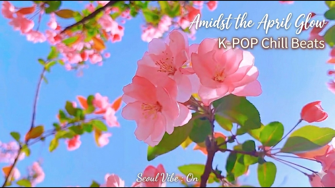 [ Seoul Vibe : On ] Amidst the April Glow🌸 | Emotional Ballad Collection ☕✨
