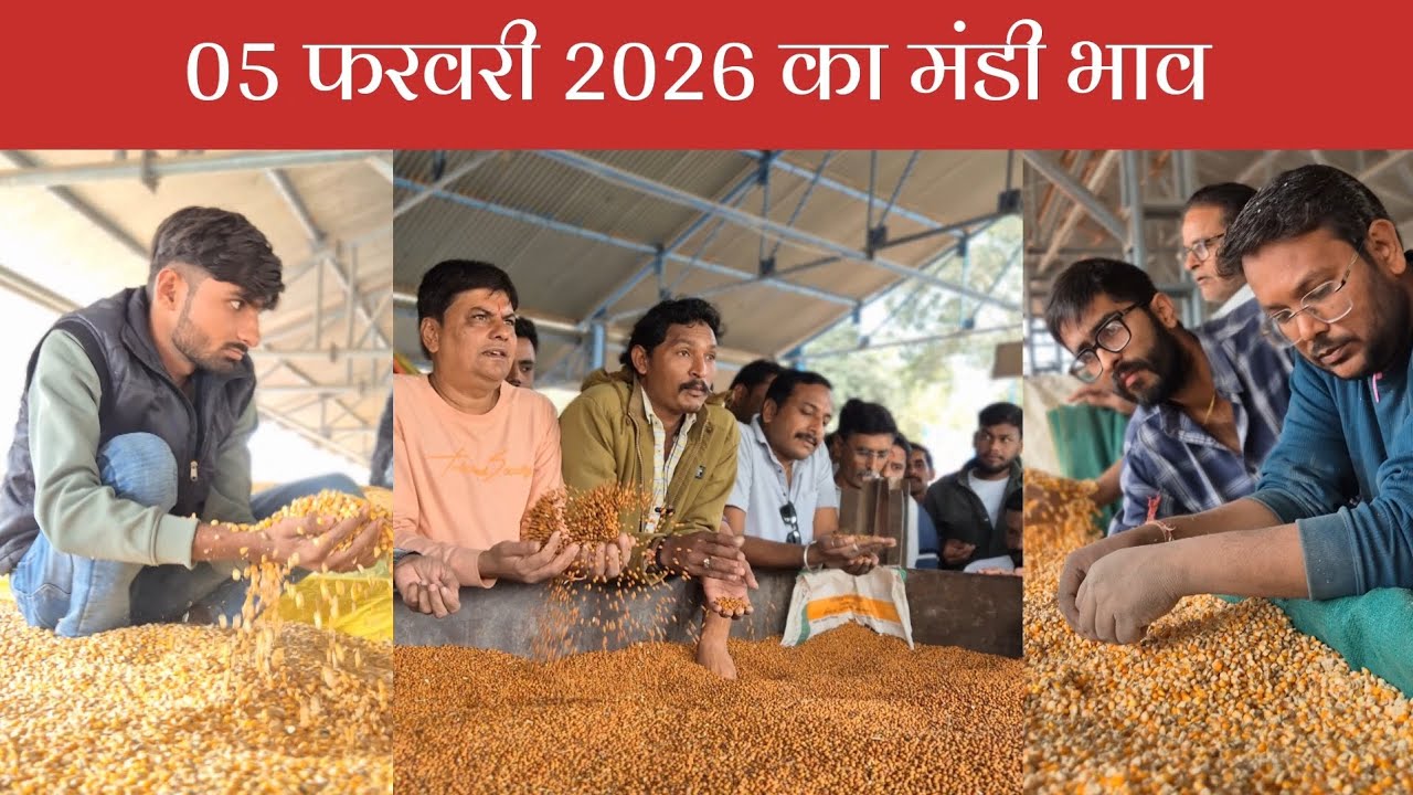 05 फरवरी 2026 का मंडी भाव 🔥 कृषि उपज मंडी खातेगांव से LIVE 🙏