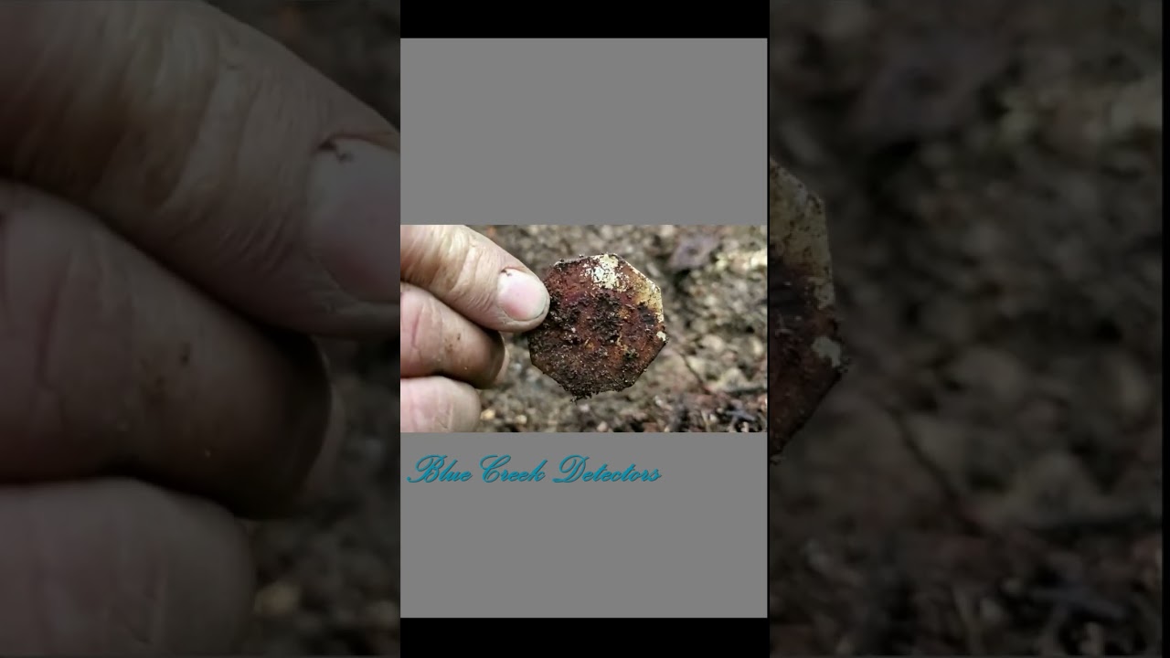 Extremely rare coin found, someone lost it near a waterfall in the 40s