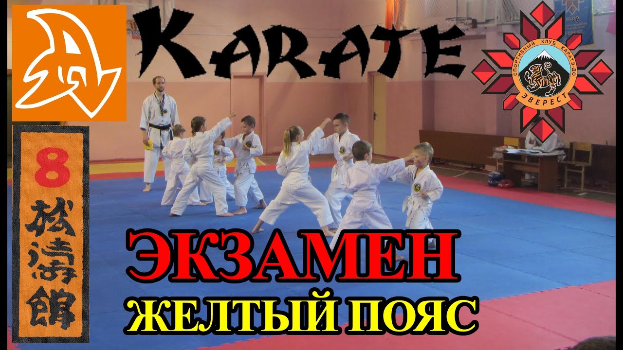Экзамен по каратэ на желтый пояс (8 кю). Karate exam on 8 kyu