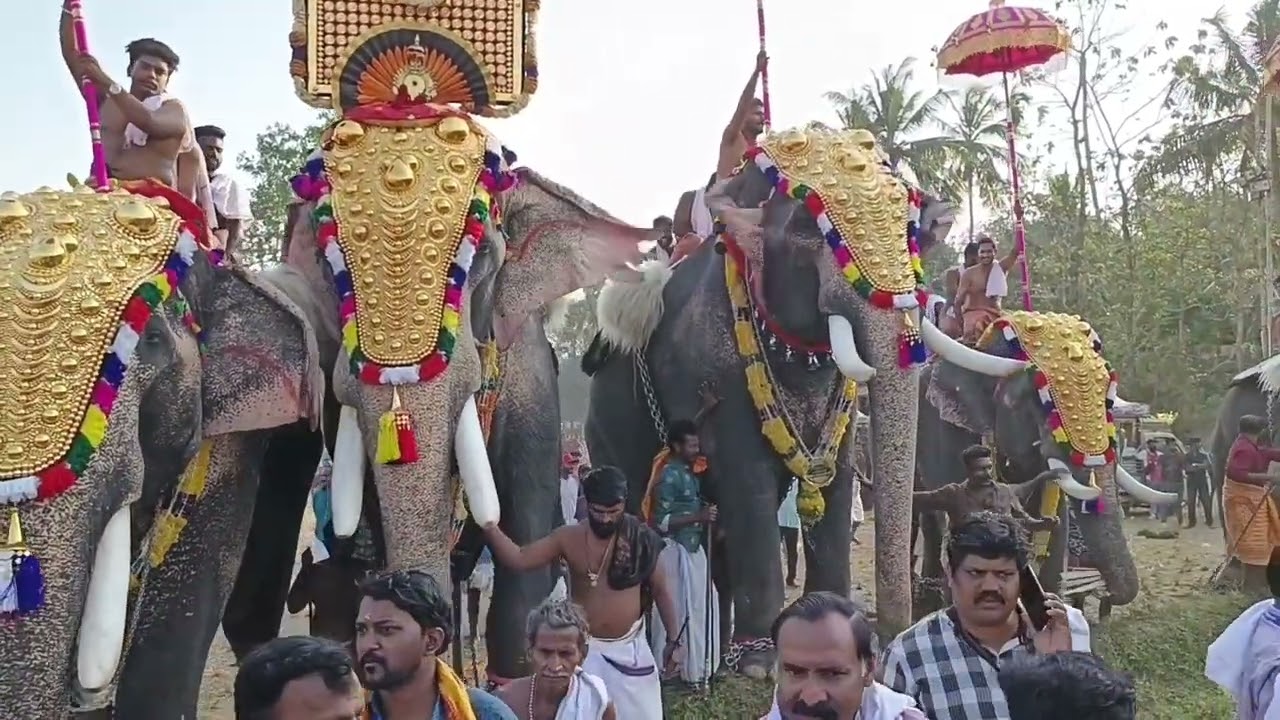 UTHRALIKAVU POORAM