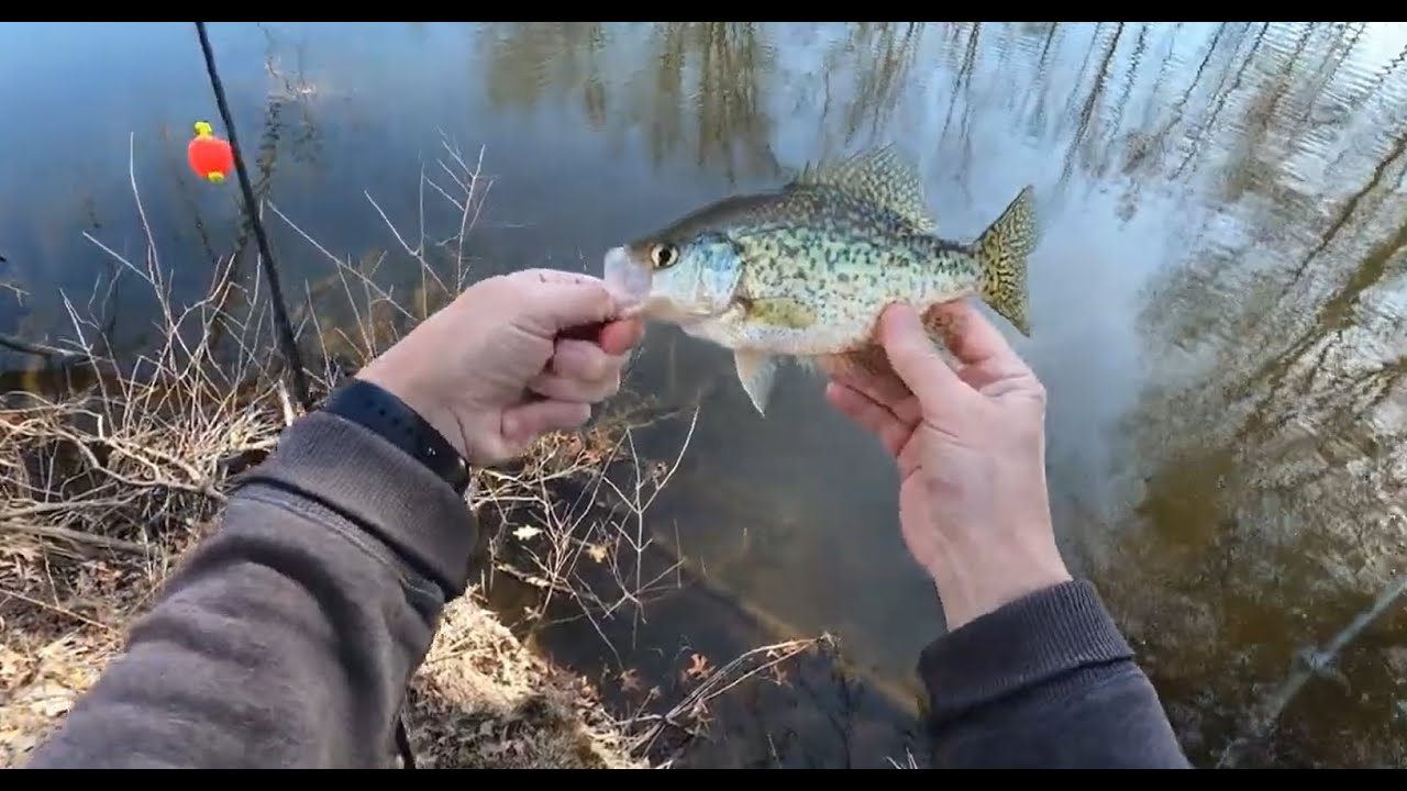Crappie and Pike Fishing Late Winter| Rebroadcast