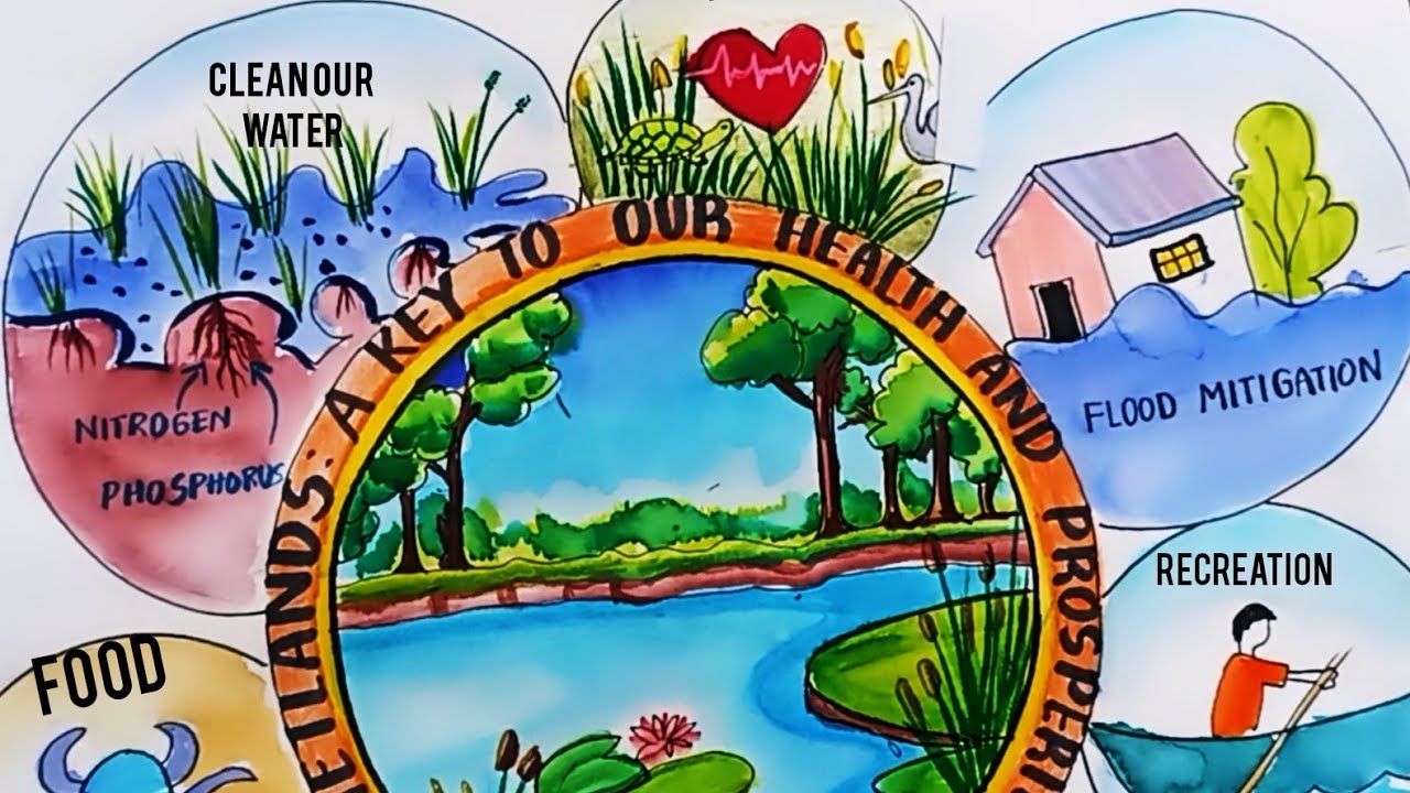 Protecting wetlands for our common future drawing.world wetlands day drawing 2025.