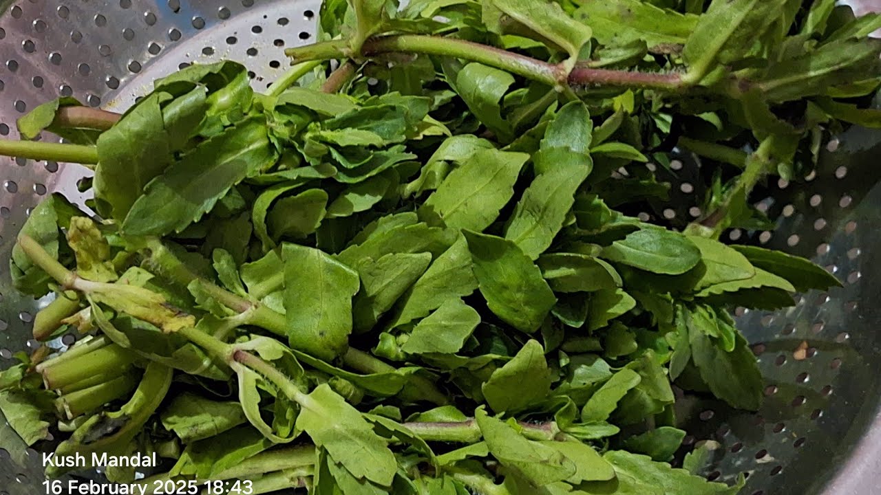 helancha shak recipe, helancha ki recipe kaise bnate hai, helancha ki healthy recipe, helancha saak