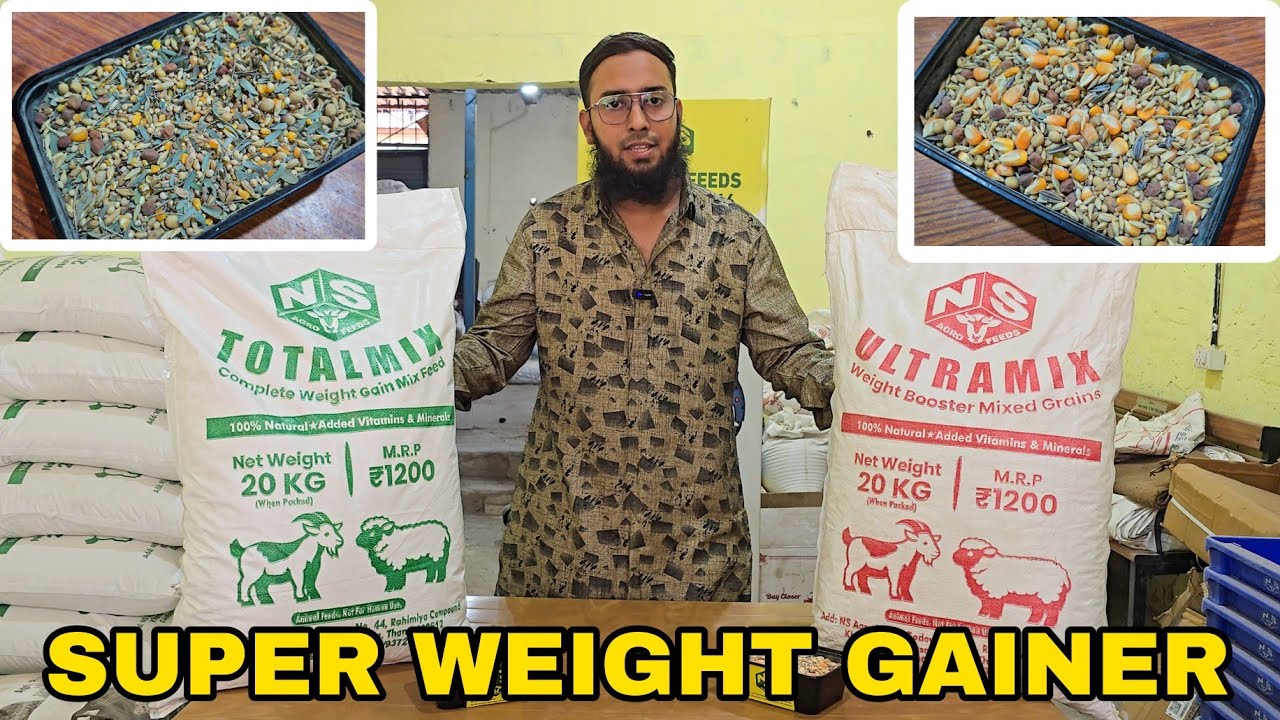 Супер-кормовая смесь для набора веса для коз и овец | N S AGRO FEEDS