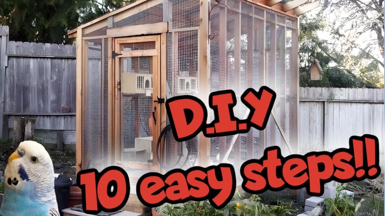 Building your own Bird aviary In 10 Easy Steps! DIY tutorial