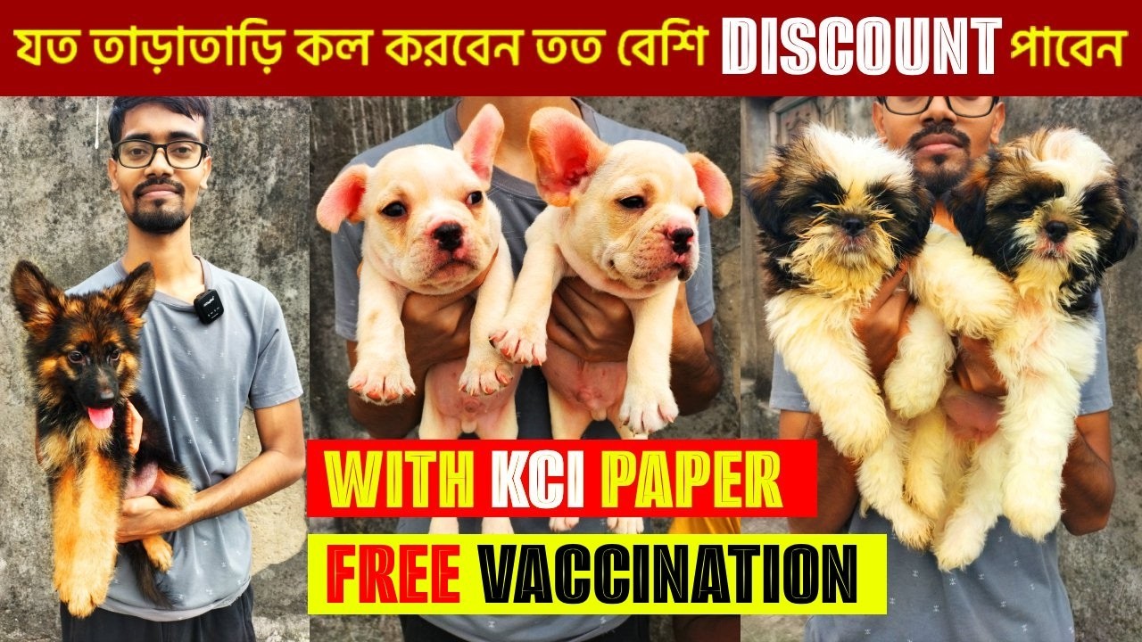 Low Price Home Breed Puppies | Best Dog Kennel in Kolkata | Dog Market in Kolkata | dogs