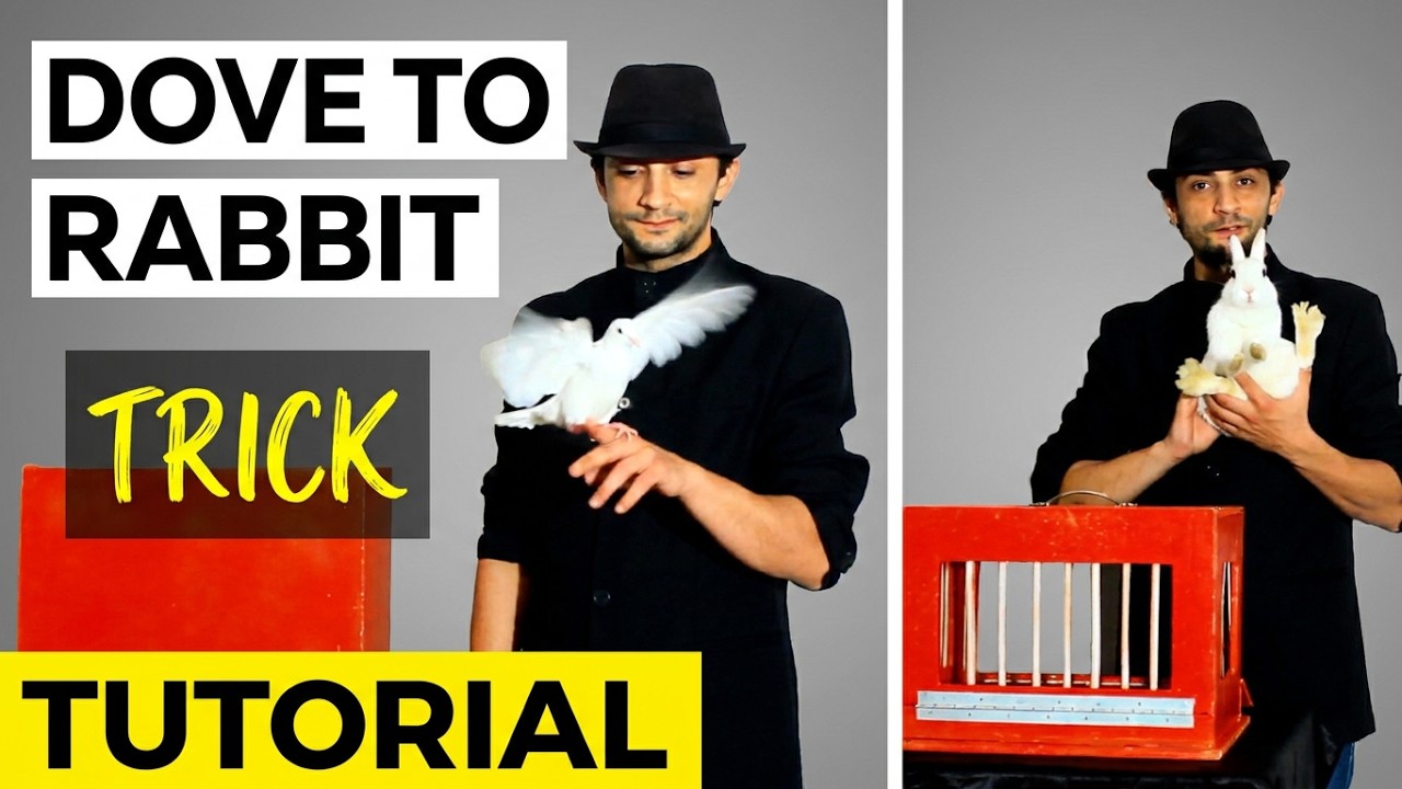 Secter Dove to Rabbit Magic Trick!